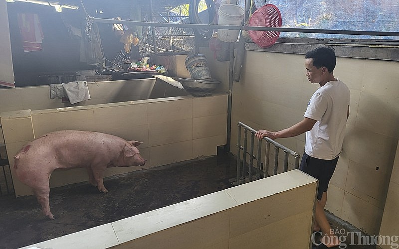 Cơ sở giết mổ nhỏ lẻ tại xã Nghi Phú (TP Vinh). Cơ sở giết mổ nhỏ lẻ tại xã Nghi Phú (TP Vinh).