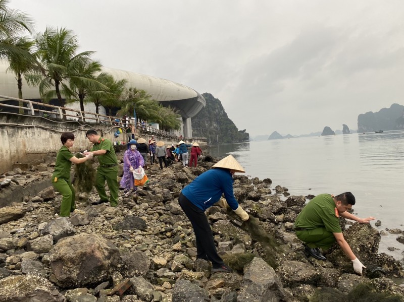 Người dân tham gia dọn rác thải tại bờ biển vịnh Hạ Long