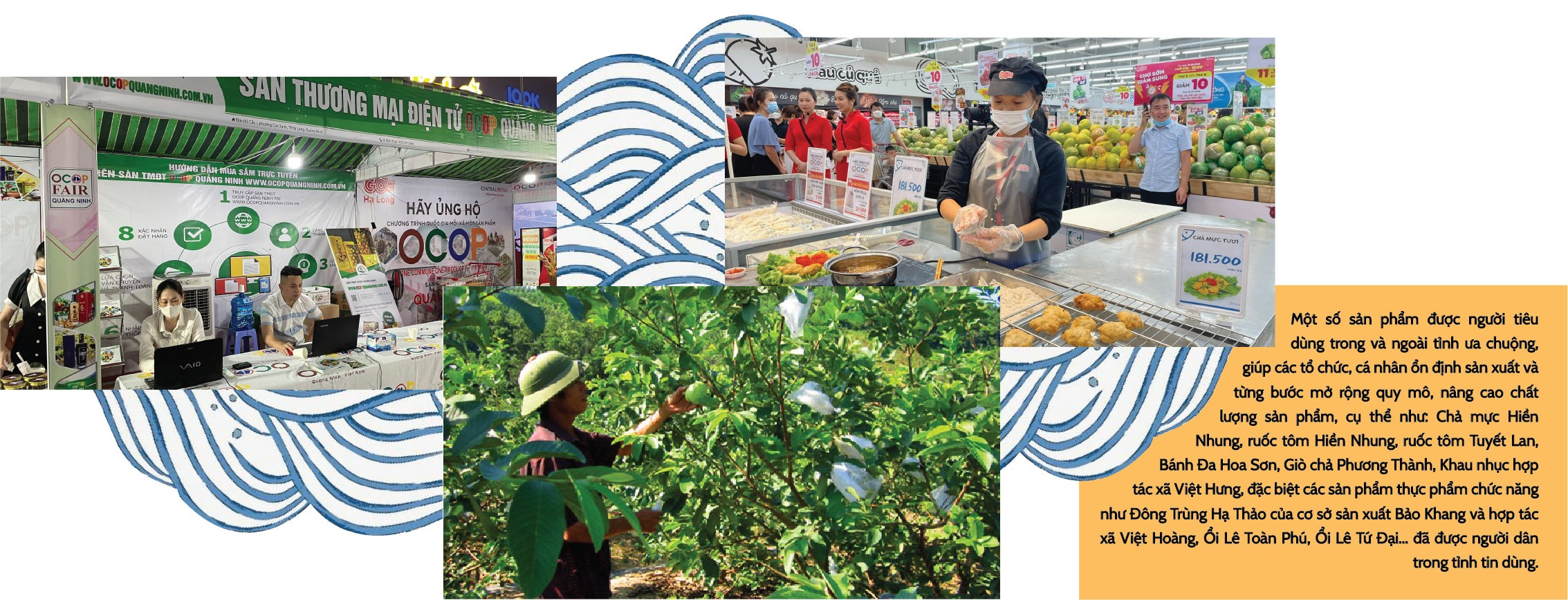 Longform | Hạ Long: Sức bật từ Chương trình “Mỗi xã, phường một sản phẩm” OCOP Longform | Hạ Long: Sức bật từ Chương trình “Mỗi xã, phường một sản phẩm” OCOP