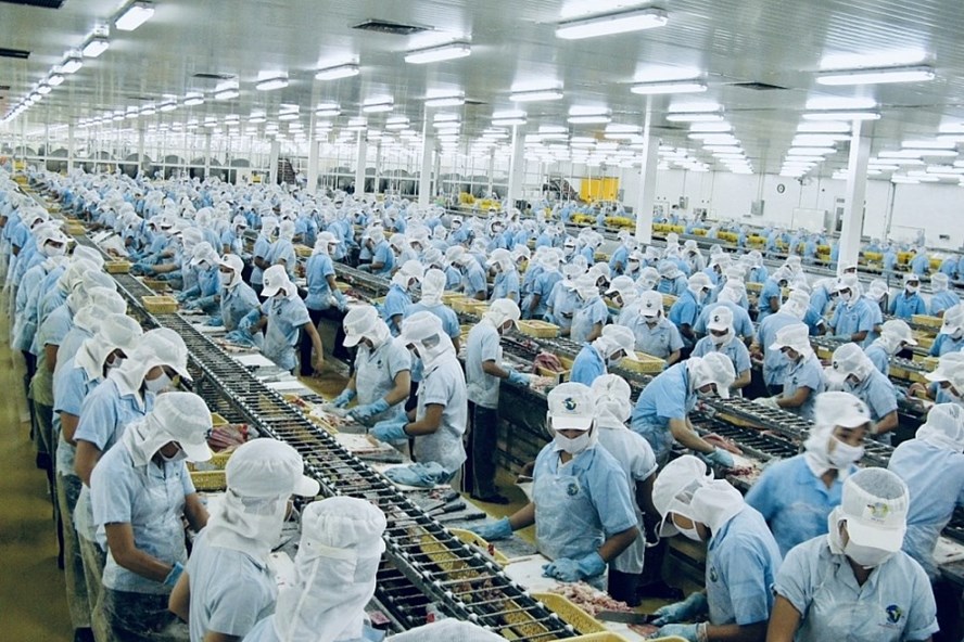 Dây chuyền chế biến thủy sản xuất khẩu. Ảnh minh họa 