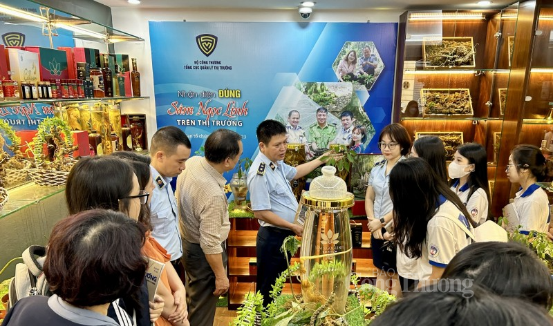 Thầy cô giáo và các bạn sinh viên tham quan Phòng Trưng bày chuyên đề