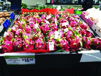 Xuất khẩu nông sản sang Australia: Chinh phục thị trường khắt khe