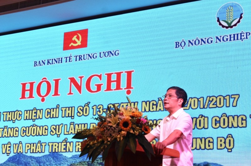 không xác định Nhiều kiến nghị tại Hội nghị về phát triển rừng khu vực Bắc Trung Bộ