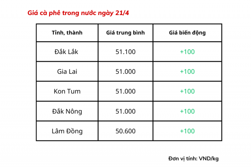 Giá cà phê hôm nay dao động từ 50.600 - 51.100 đồng/kg. Giá cà phê hôm nay dao động từ 50.600 - 51.100 đồng/kg.