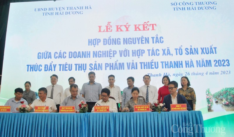 Hải Dương: Xúc tiến thương mại tiêu thụ sản phẩm vải thiều Thanh Hà Hải Dương: Xúc tiến thương mại tiêu thụ sản phẩm vải thiều Thanh Hà