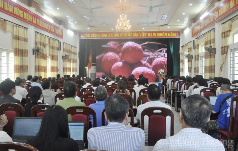 Hải Dương: Xúc tiến thương mại tiêu thụ sản phẩm vải thiều Thanh Hà Hải Dương: Xúc tiến thương mại tiêu thụ sản phẩm vải thiều Thanh Hà