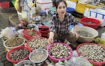 Chợ hải sản Cửa Lò sẵn sàng cho mùa du lịch