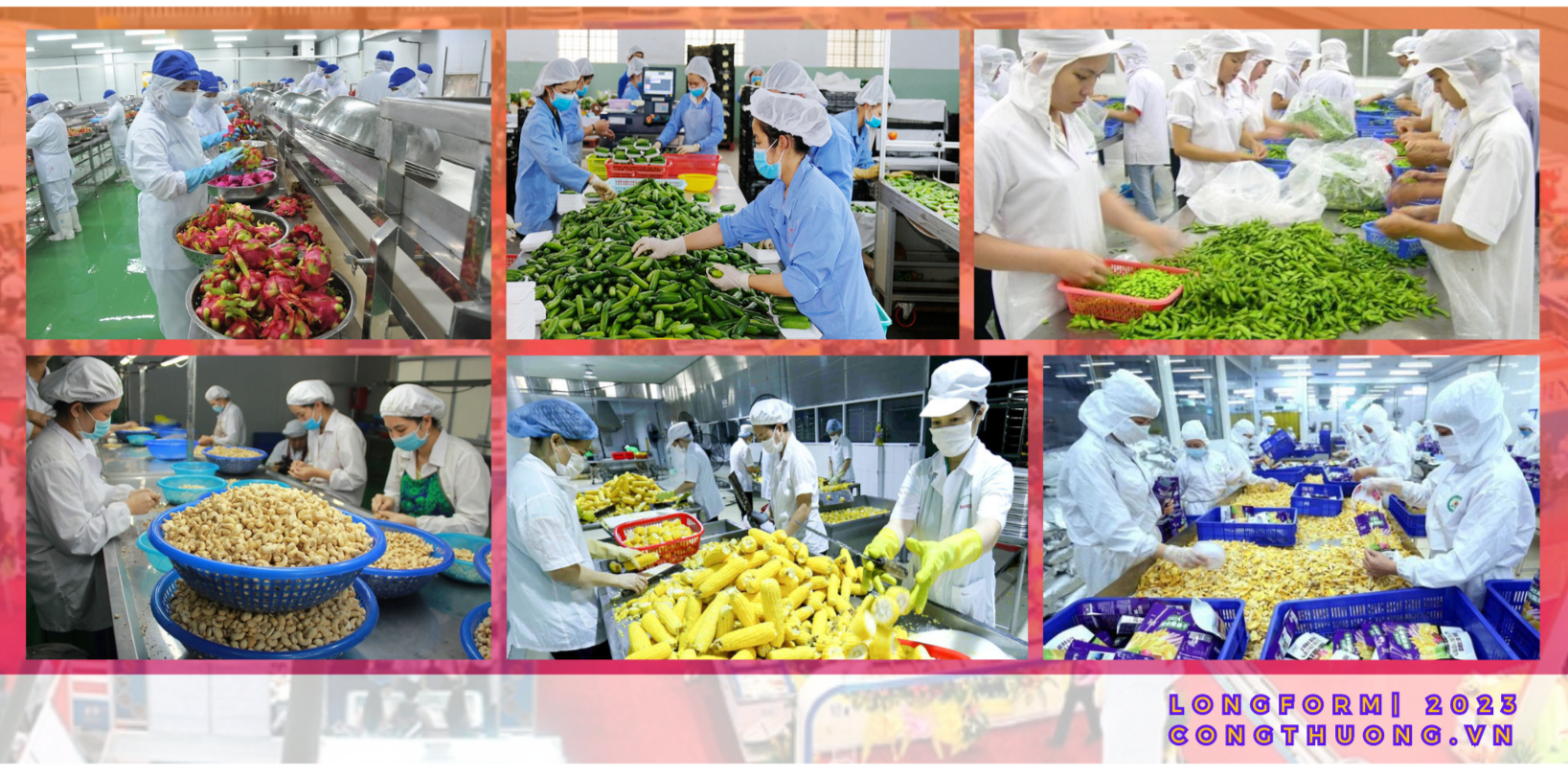 Longform | Khai thác bền vững thị trường nội địa cho tiêu thụ nông sản Longform | Khai thác bền vững thị trường nội địa cho tiêu thụ nông sản