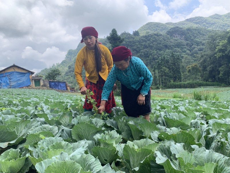 Hà Giang: Phát huy vai trò người có uy tín trong phát triển kinh tế, bảo vệ vùng biên Hà Giang: Phát huy vai trò người có uy tín trong phát triển kinh tế, bảo vệ vùng biên