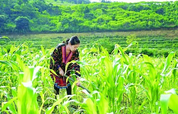 Giảm nghèo còn nhiều thách thức