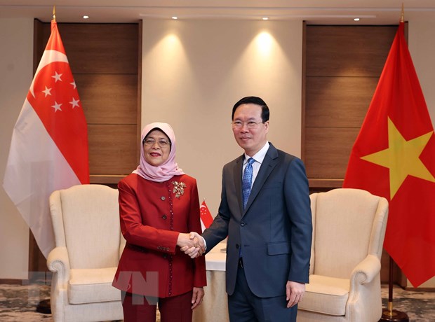 Chủ tịch nước: Thúc đẩy quan hệ Việt Nam-Singapore lên tầm cao mới hình ảnh 1 Chu tich nuoc: Thuc day quan he Viet Nam-Singapore len tam cao moi hinh anh 1