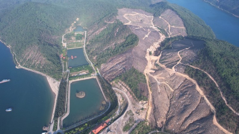 Đảo Thẻ Vàng (Ảnh QMG)