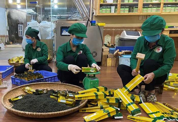 Thái Nguyên: Phát triển du lịch cộng đồng vùng đồng bào dân tộc Thái Nguyên: Phát triển du lịch cộng đồng vùng đồng bào dân tộc