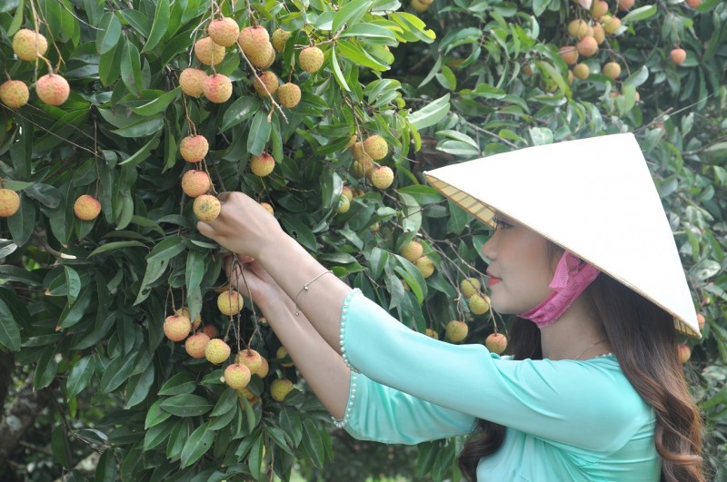 Bài 2: Mở rộng thị trường, đẩy mạnh xuất khẩu Bài 2: Mở rộng thị trường, đẩy mạnh xuất khẩu