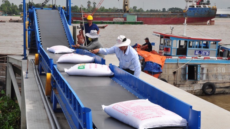 Xuất khẩu gạo: Thị trường thuận lợi nhưng thiếu vốn Xuất khẩu gạo: Thị trường thuận lợi nhưng thiếu vốn