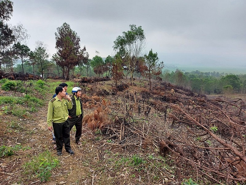 Thanh Hóa: Kiểm điểm hạt kiểm lâm, Ban quản lý rừng phòng hộ để xảy ra cháy rừng Thanh Hóa: Kiểm điểm hạt kiểm lâm, Ban quản lý rừng phòng hộ để xảy ra cháy rừng