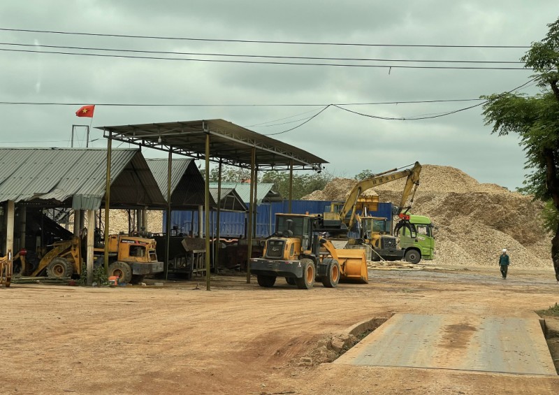 không xác định Miền Trung: Khó khăn bủa vây ngành gỗ làm gì?