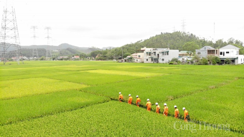 Đảm bảo an toàn cho lưới truyền tải điện quốc gia trong mùa nắng nóng Đảm bảo an toàn cho lưới truyền tải điện quốc gia trong mùa nắng nóng