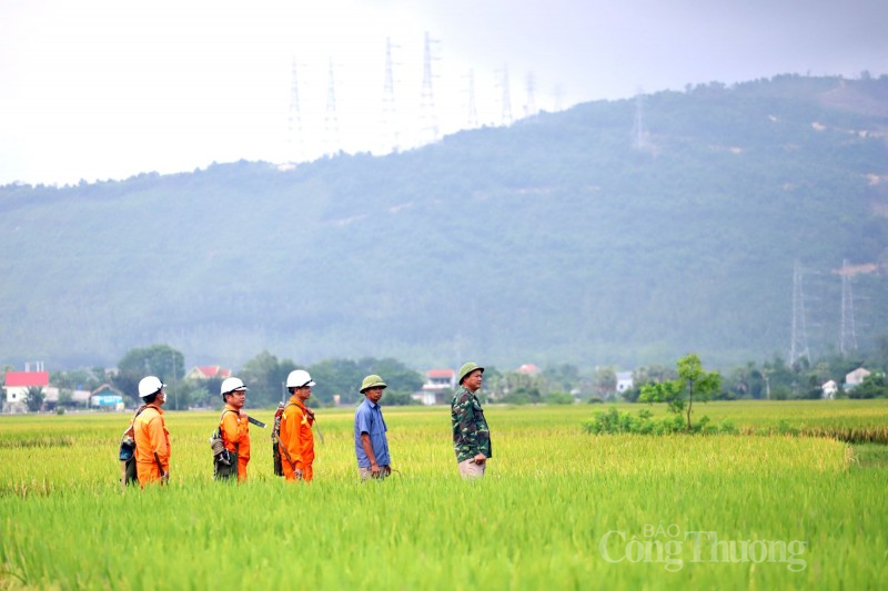 Đảm bảo an toàn cho lưới truyền tải điện quốc gia trong mùa nắng nóng Đảm bảo an toàn cho lưới truyền tải điện quốc gia trong mùa nắng nóng