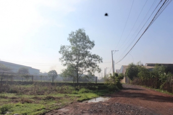 Bất ngờ với cả 1 cụm công nghiệp xây 