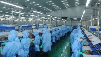 Gỡ khó cho xuất khẩu thủy sản