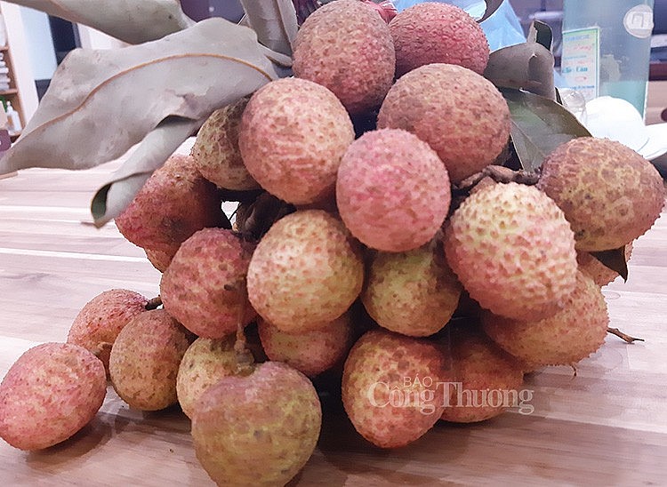 vải đầu mùa được bán với giá 50.000 - 60.000 đồng/kg vải đầu mùa được bán với giá 50.000 - 60.000 đồng/kg