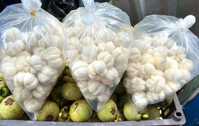 Măng cụt xanh có giá 55.000-80.000 đồng/kg, còn 1kg ruột măng cụt được bán với giá rất cao, lên tới 550.000 - 600.000/kg. Măng cụt xanh có giá 55.000-80.000 đồng/kg, còn 1kg ruột măng cụt được bán với giá rất cao, lên tới 550.000 - 600.000/kg.