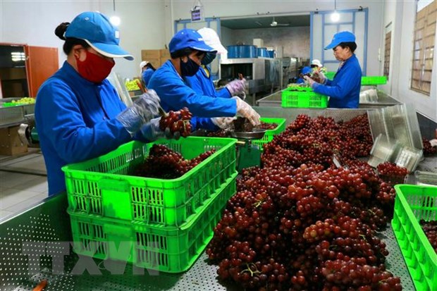 Ngành nông nghiệp đẩy mạnh chuyển đổi số thực chất, hiệu quả hình ảnh 1 Nganh nong nghiep day manh chuyen doi so thuc chat, hieu qua hinh anh 1