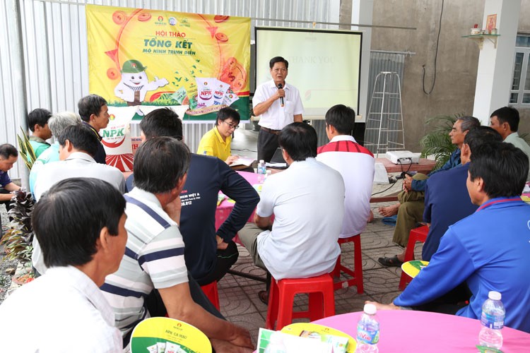 Phân bón công nghệ nâng hiệu quả mùa lúa An Giang Phân bón công nghệ nâng hiệu quả mùa lúa An Giang