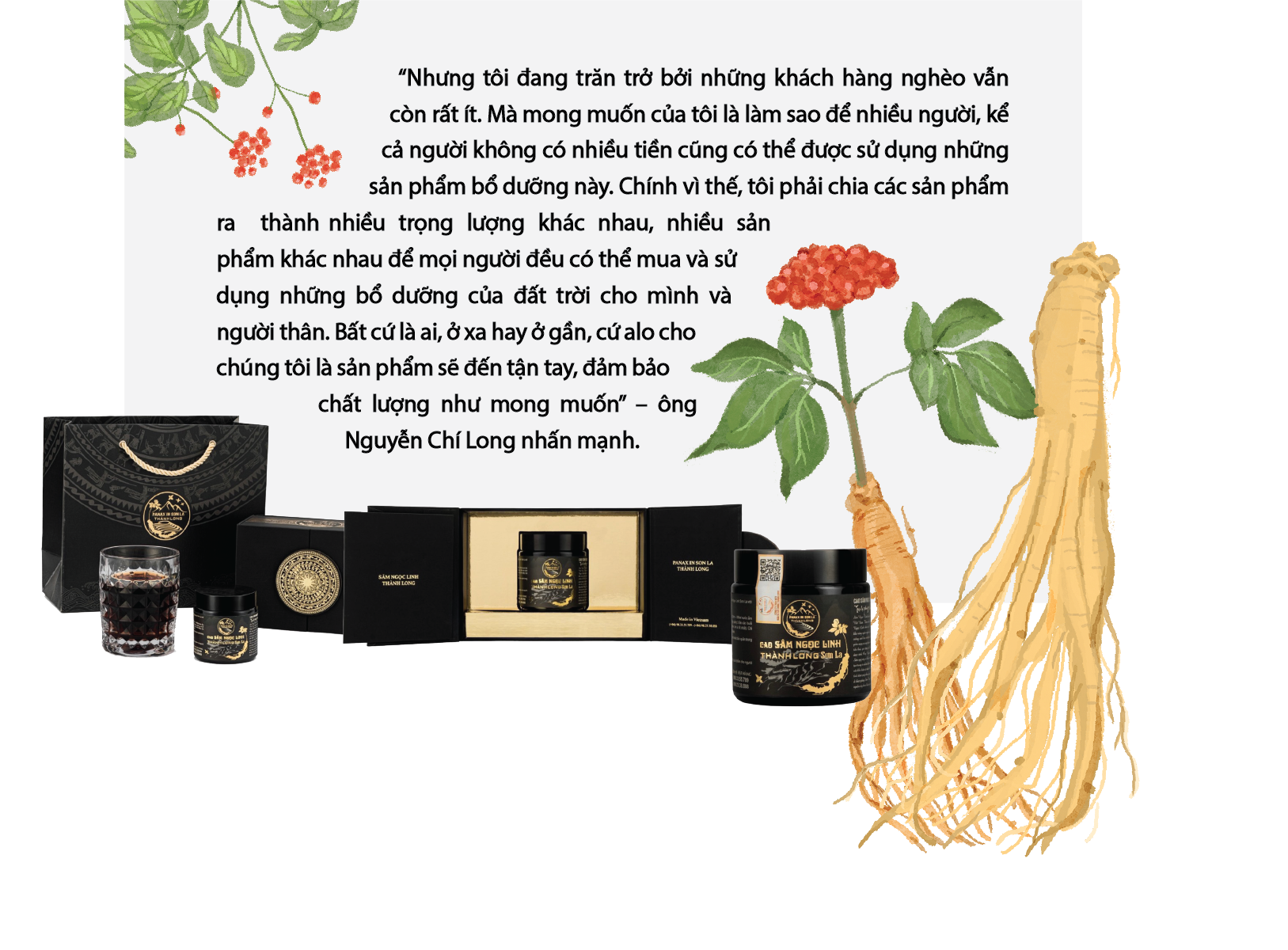 Longform | “Quốc bảo” sâm Ngọc Linh trên đất Sơn La