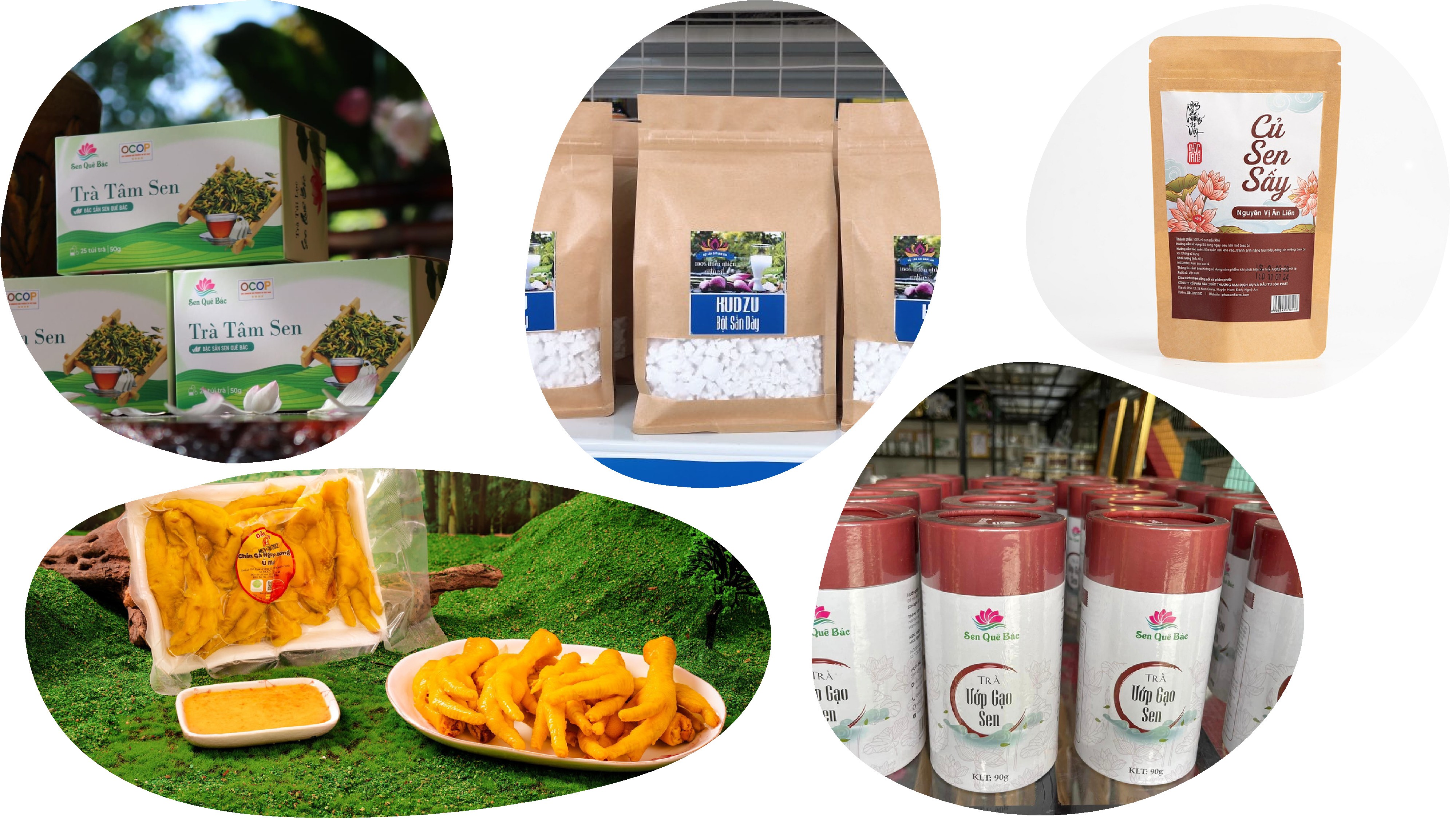 Cơ hội kết nối giao thương tại Tuần trưng bày sản phẩm OCOP Nghệ An Cơ hội kết nối giao thương tại Tuần trưng bày sản phẩm OCOP Nghệ An