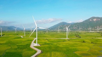 Đẩy nhanh việc đàm phán giá bán điện của dự án điện gió, mặt trời chuyển tiếp