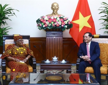 Bộ trưởng Ngoại giao Bùi Thanh Sơn tiếp Tổng Giám đốc WTO