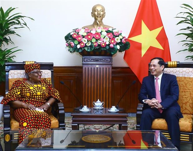Bộ trưởng Ngoại giao Bùi Thanh Sơn tiếp Tổng Giám đốc WTO hình ảnh 1 Bo truong Ngoai giao Bui Thanh Son tiep Tong Giam doc WTO hinh anh 1