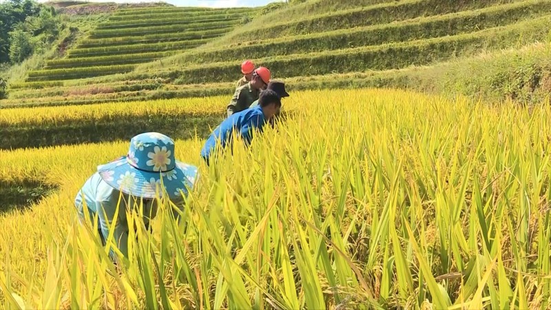 Yên Bái: 66.200 lượt hộ nghèo địa phương đã thoát nghèo Yên Bái: 66.200 lượt hộ nghèo địa phương đã thoát nghèo