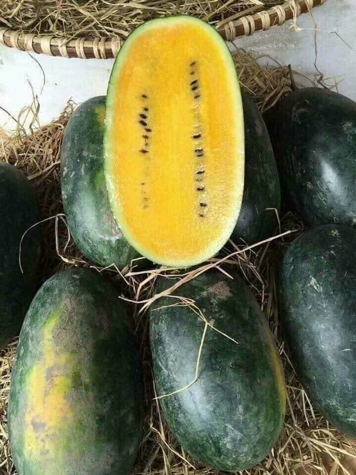 Những loại quả lạ, giá cao vẫn đắt khách Những loại quả lạ, giá cao vẫn đắt khách