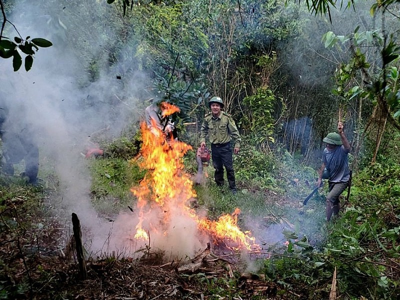 Nắng nóng kéo dài trên diện rộng, tỉnh Thanh Hóa ra Công điện khẩn về phòng cháy, chữa cháy rừng Nắng nóng kéo dài trên diện rộng, tỉnh Thanh Hóa ra Công điện khẩn về phòng cháy, chữa cháy rừng