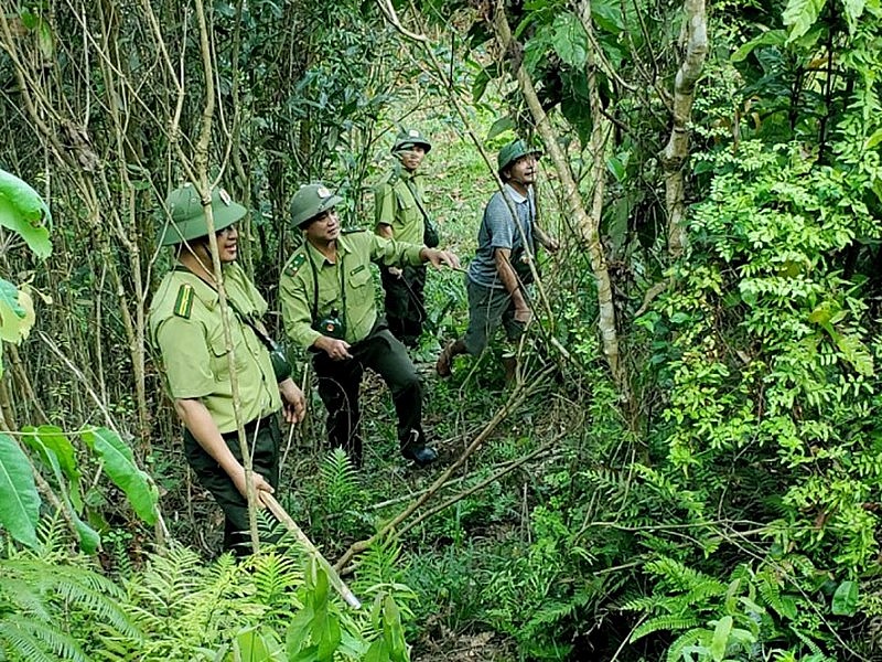 Nắng nóng kéo dài trên diện rộng, tỉnh Thanh Hóa ra Công điện khẩn về phòng cháy, chữa cháy rừng Nắng nóng kéo dài trên diện rộng, tỉnh Thanh Hóa ra Công điện khẩn về phòng cháy, chữa cháy rừng
