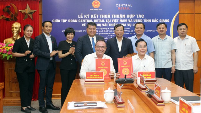 Bắc Giang: Có thêm 12 mã số vùng trồng vải thiều xuất khẩu - Ảnh 2. Bắc Giang: Có thêm 12 mã số vùng trồng vải thiều xuất khẩu - Ảnh 2.