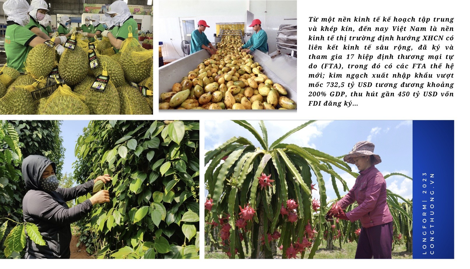 Longform | Bài 1: Tự hào hàng Việt ở nước ngoài Longform | Bài 1: Tự hào hàng Việt ở nước ngoài