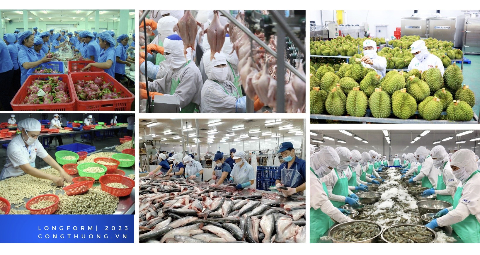 Longform | Bài 2: Lớn nhưng chưa mạnh Longform | Bài 2: Lớn nhưng chưa mạnh