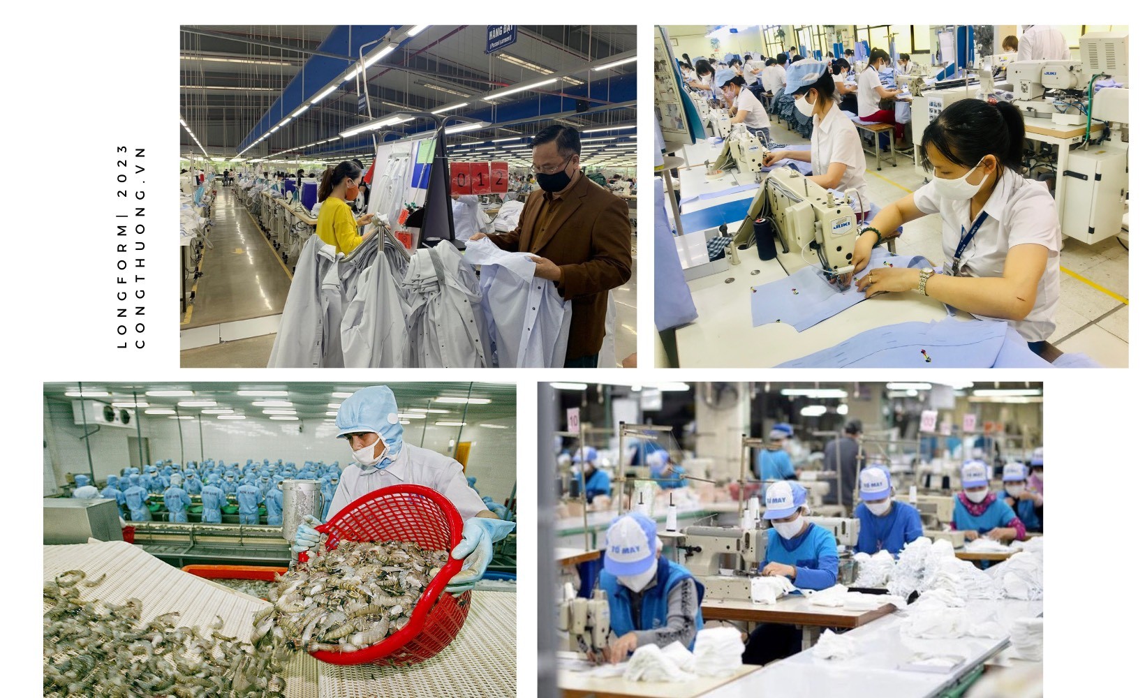 Longform | Bài 3: Giải bài toán xuất nhập khẩu bền vững Longform | Bài 3: Giải bài toán xuất nhập khẩu bền vững