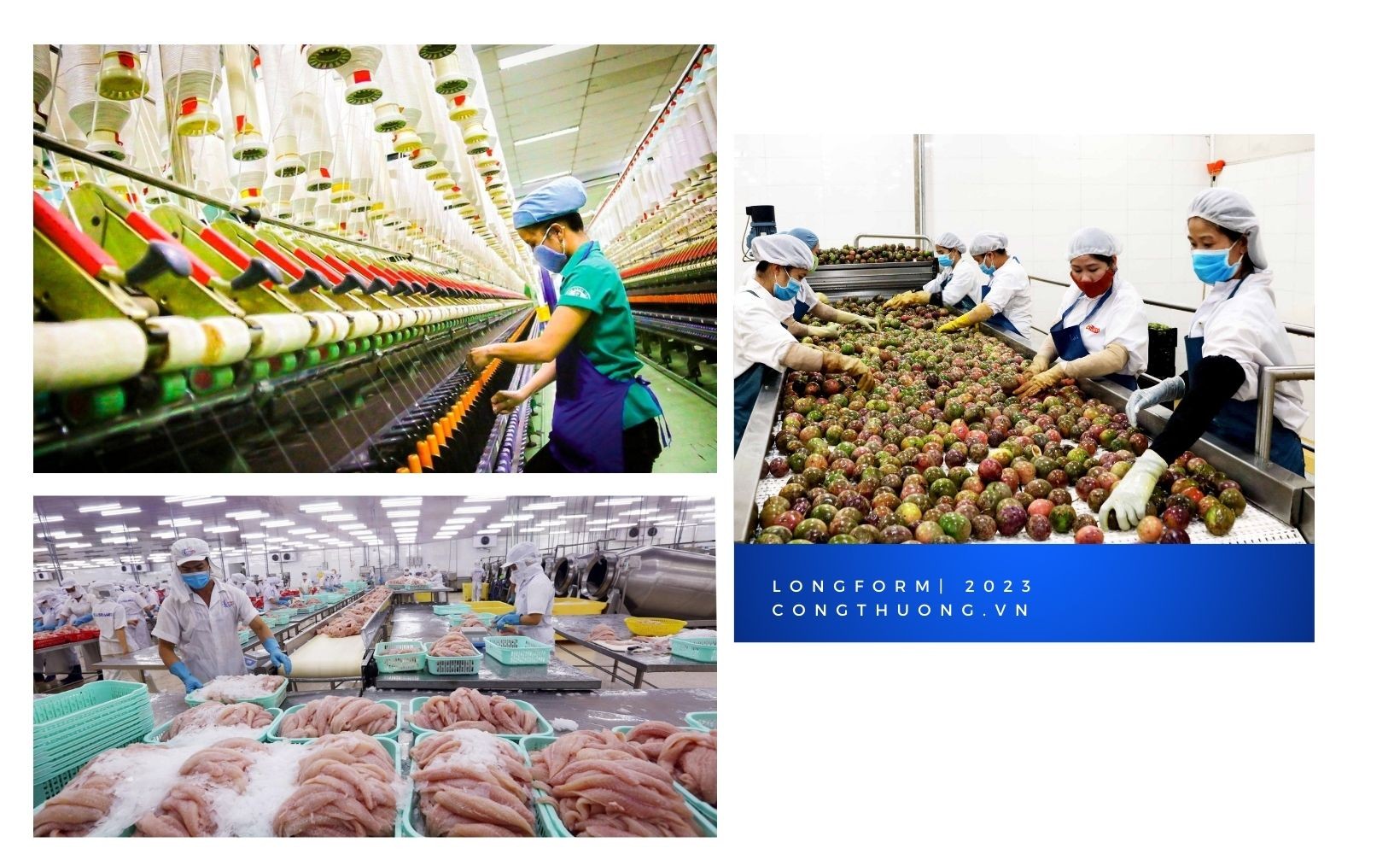 Longform | Bài 2: Lớn nhưng chưa mạnh Longform | Bài 2: Lớn nhưng chưa mạnh