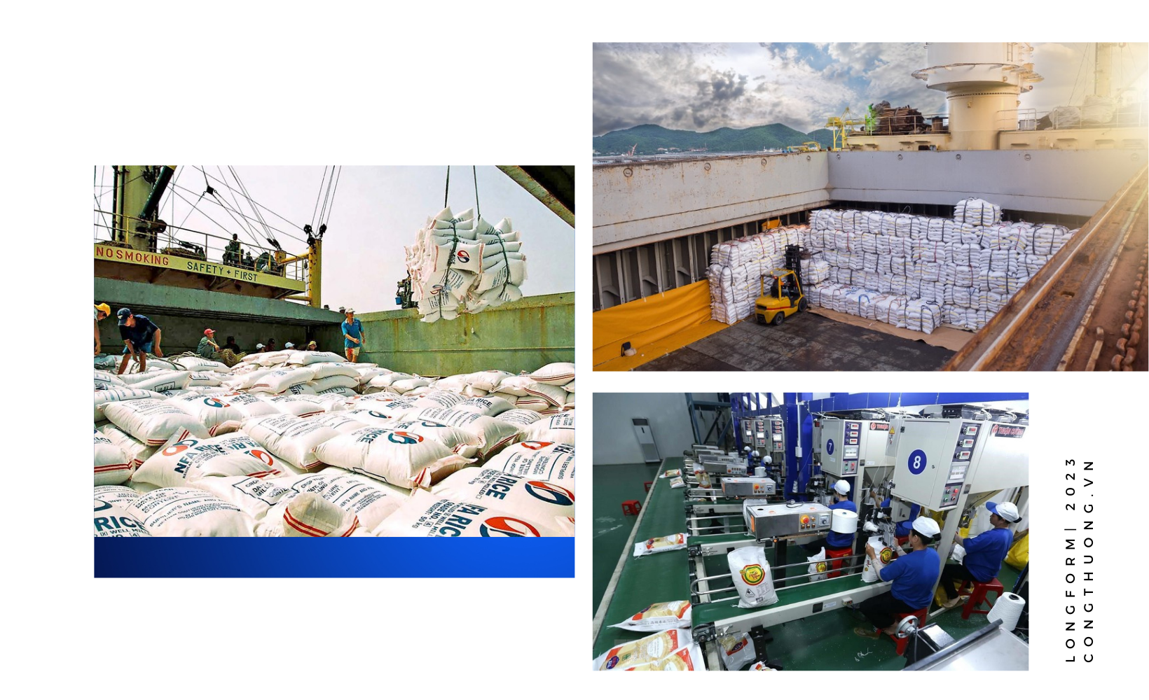 Longform | Bài 3: Giải bài toán xuất nhập khẩu bền vững Longform | Bài 3: Giải bài toán xuất nhập khẩu bền vững