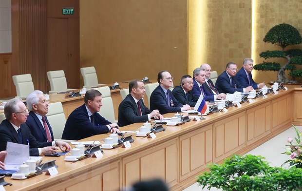 Nang cao hon nua hieu qua hop tac song phuong Viet Nam-Nga hinh anh 3