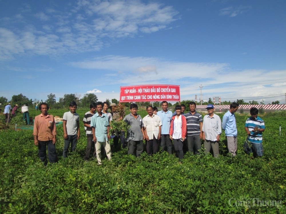 Ngày này năm xưa 24/5: Quy định chi tiết việc quản lý hoạt động kinh doanh theo phương thức đa cấp Ngày này năm xưa 24/5: Quy định chi tiết việc quản lý hoạt động kinh doanh theo phương thức đa cấp