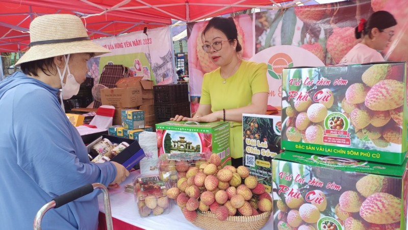 Khai mạc Phiên chợ Vải Hưng Yên năm 2023 Khai mạc Phiên chợ Vải Hưng Yên năm 2023