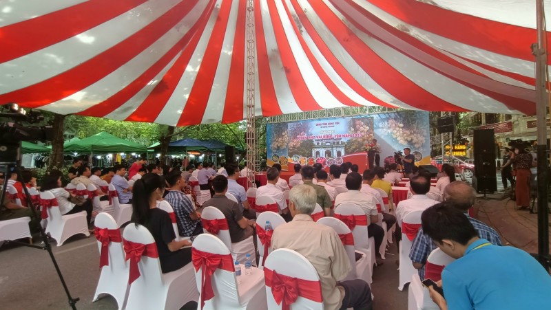 Khai mạc Phiên chợ Vải Hưng Yên năm 2023 Khai mạc Phiên chợ Vải Hưng Yên năm 2023