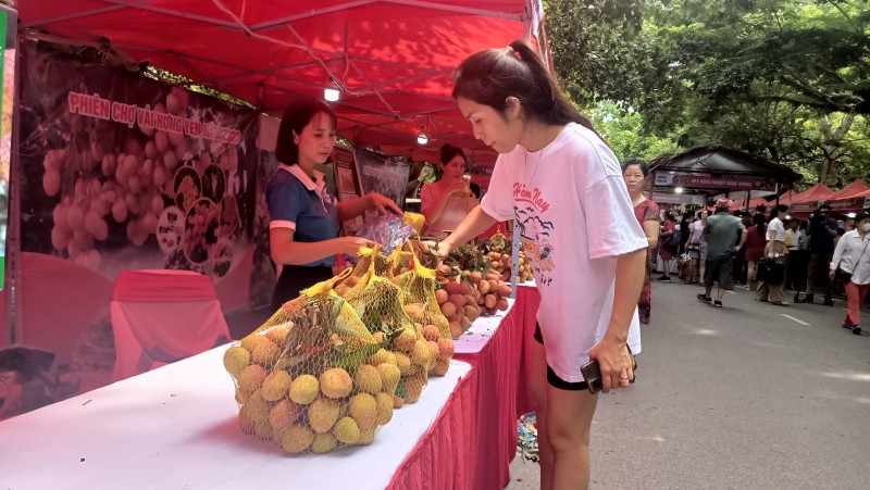 Khai mạc Phiên chợ Vải Hưng Yên năm 2023 Khai mạc Phiên chợ Vải Hưng Yên năm 2023