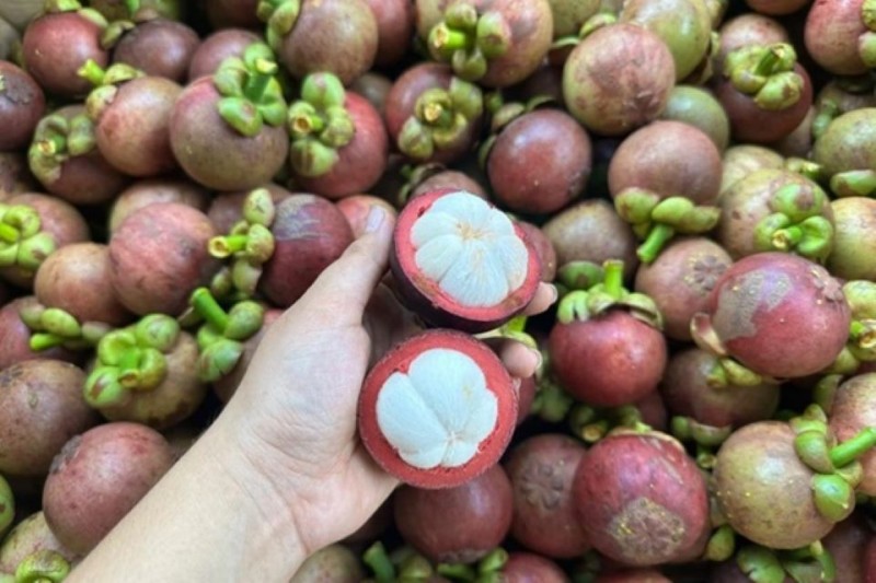 Giá nhiều loại trái cây giảm mạnh vào mùa thu hoạch rộ Giá nhiều loại trái cây giảm mạnh vào mùa thu hoạch rộ